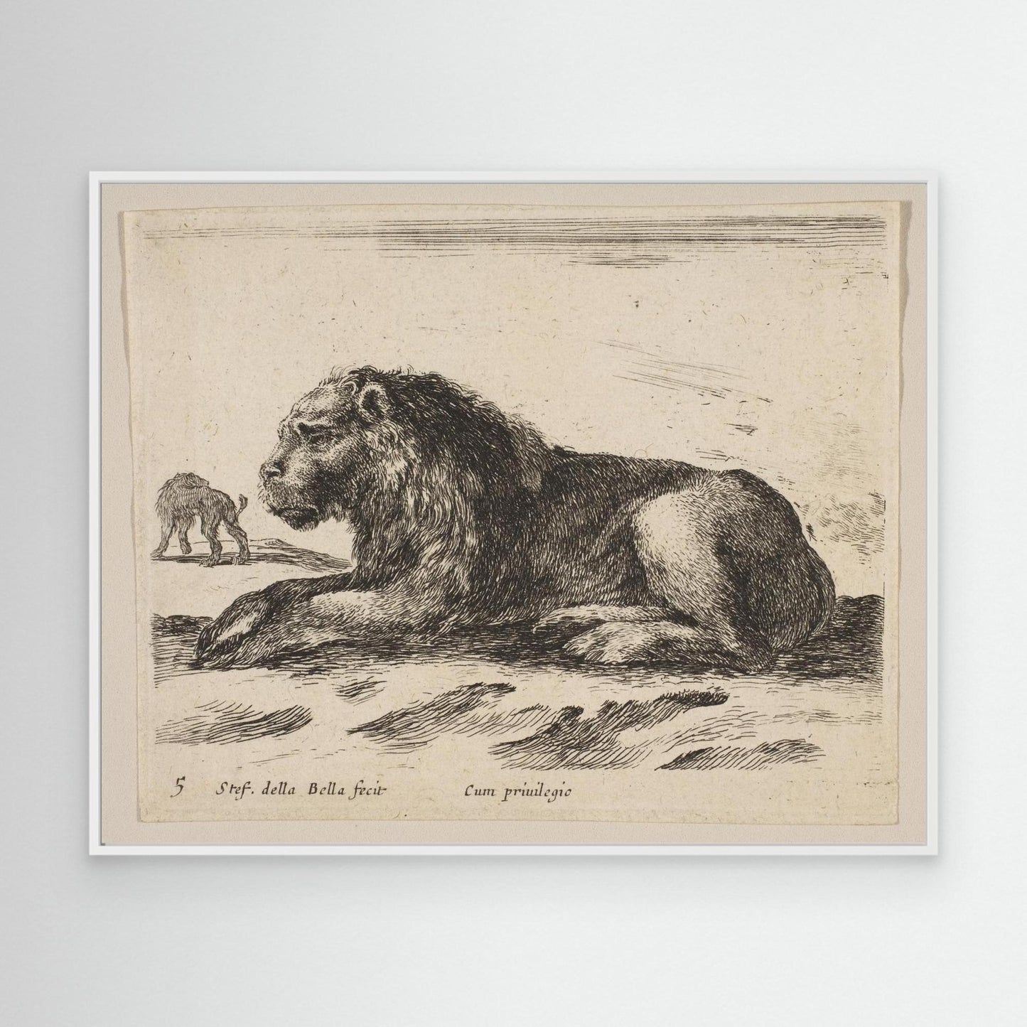 Plate 5: Reclining Lion, from "Various animals" (Diversi animali)