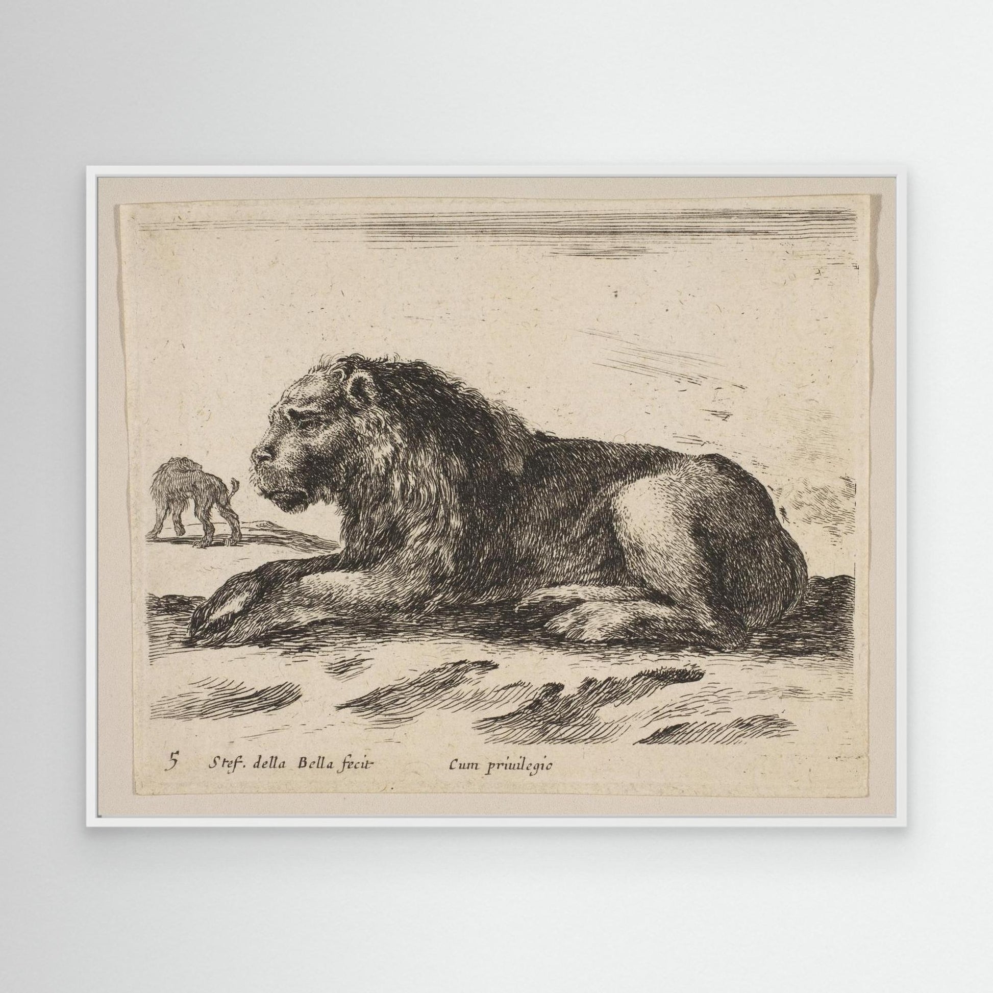 Plate 5: Reclining Lion, from "Various animals" (Diversi animali)
