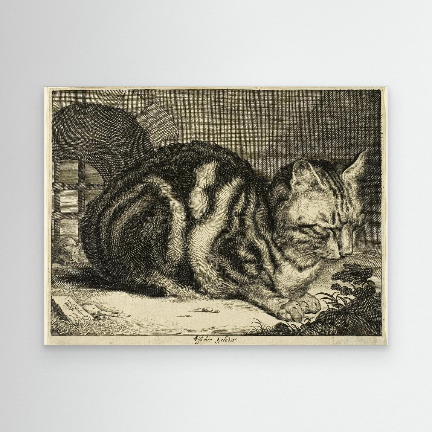 The Large Cat