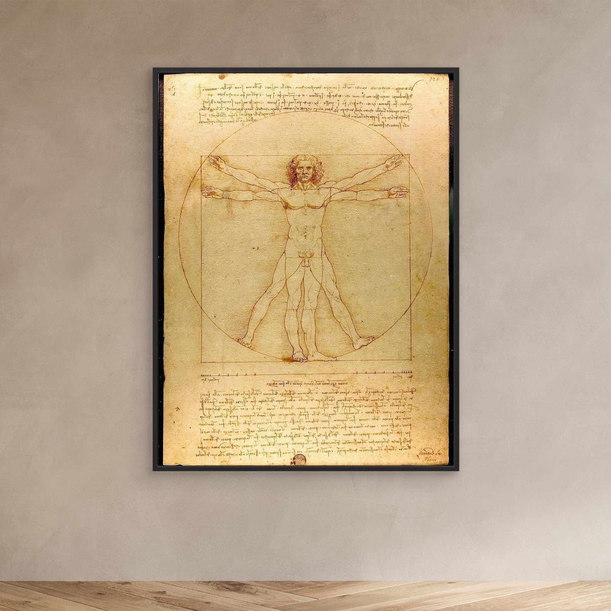 Vitruvian Man