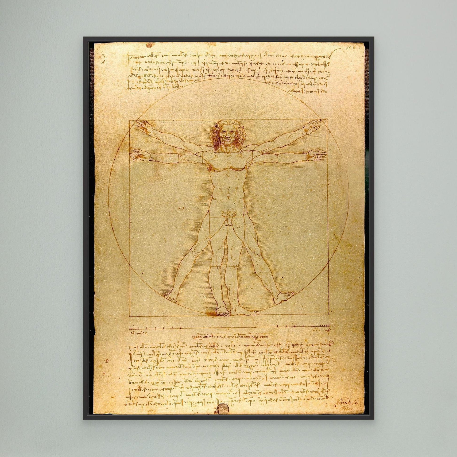 Vitruvian Man