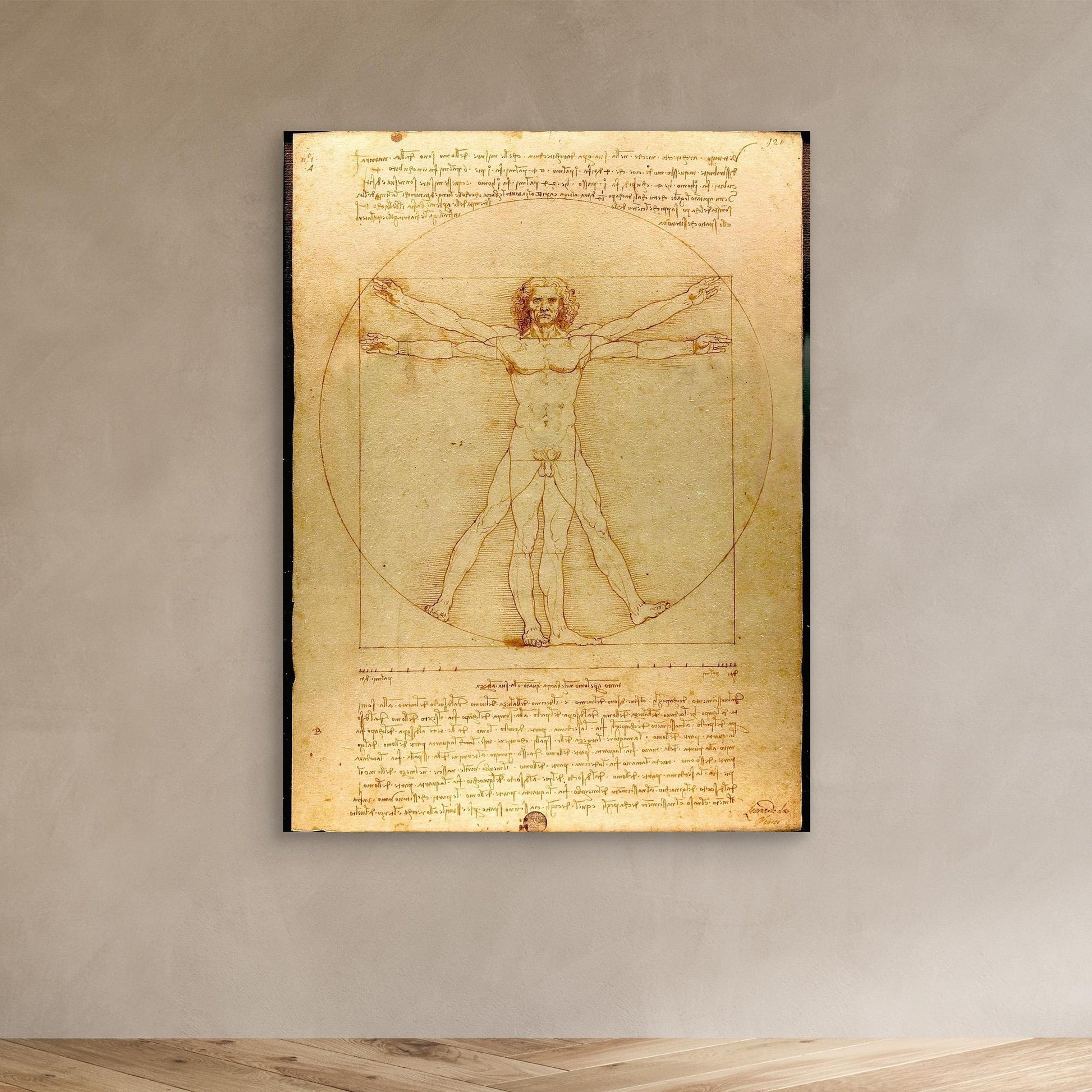 Vitruvian Man
