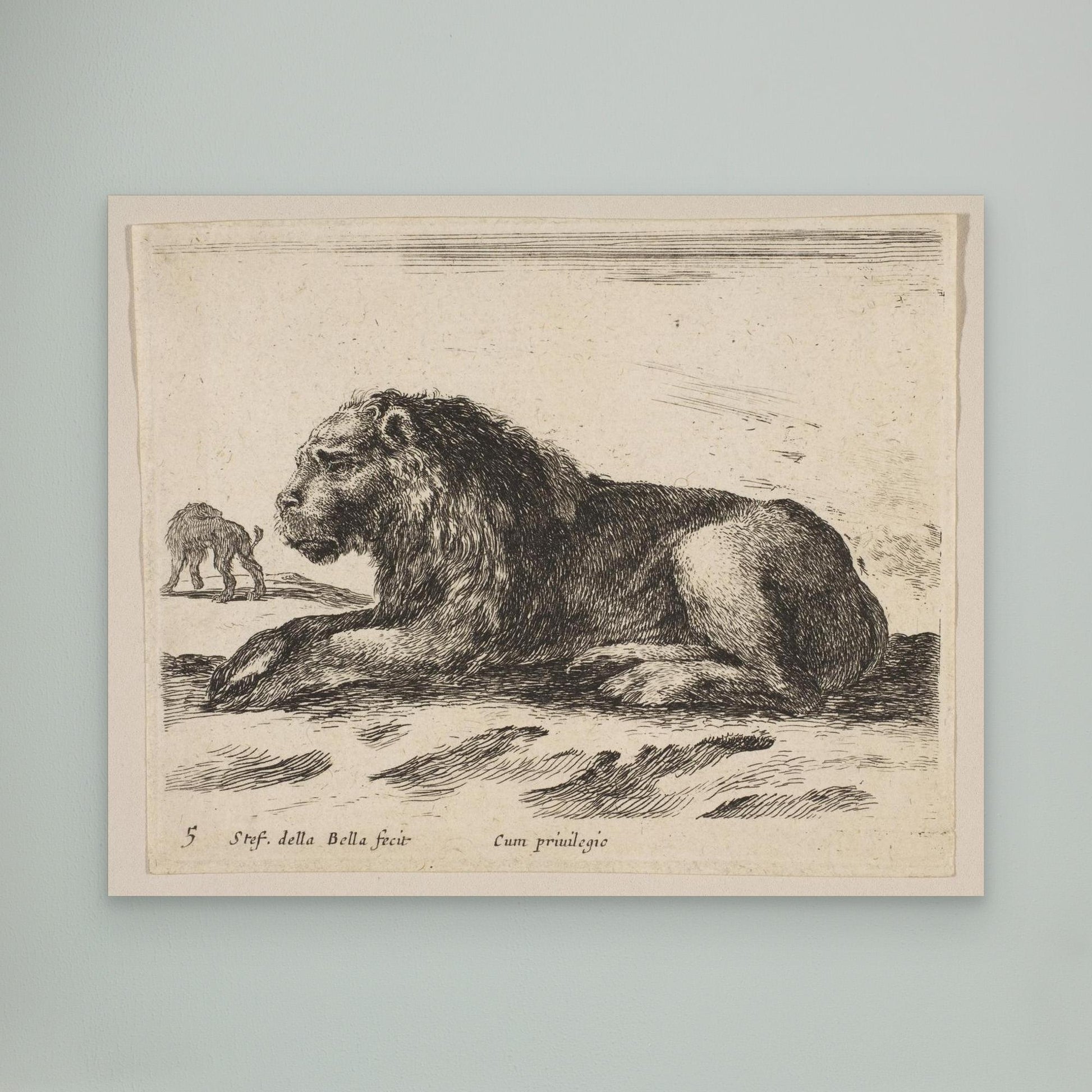 Plate 5: Reclining Lion, from "Various animals" (Diversi animali)
