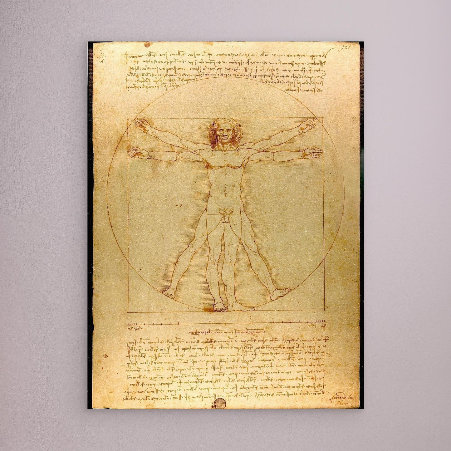 Vitruvian Man