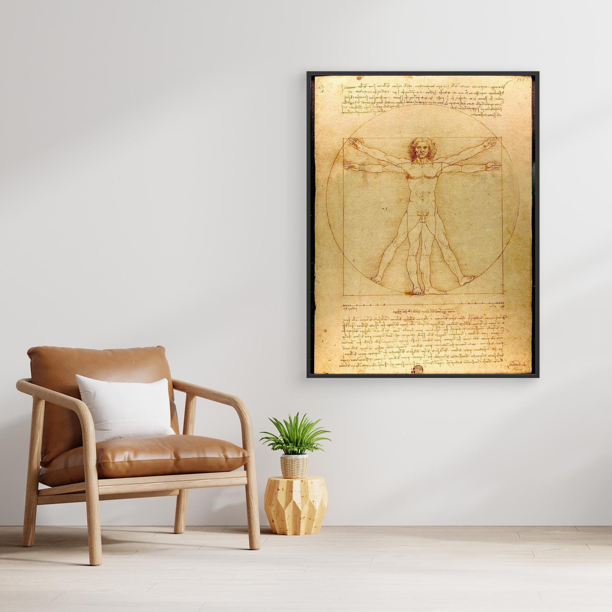 Vitruvian Man