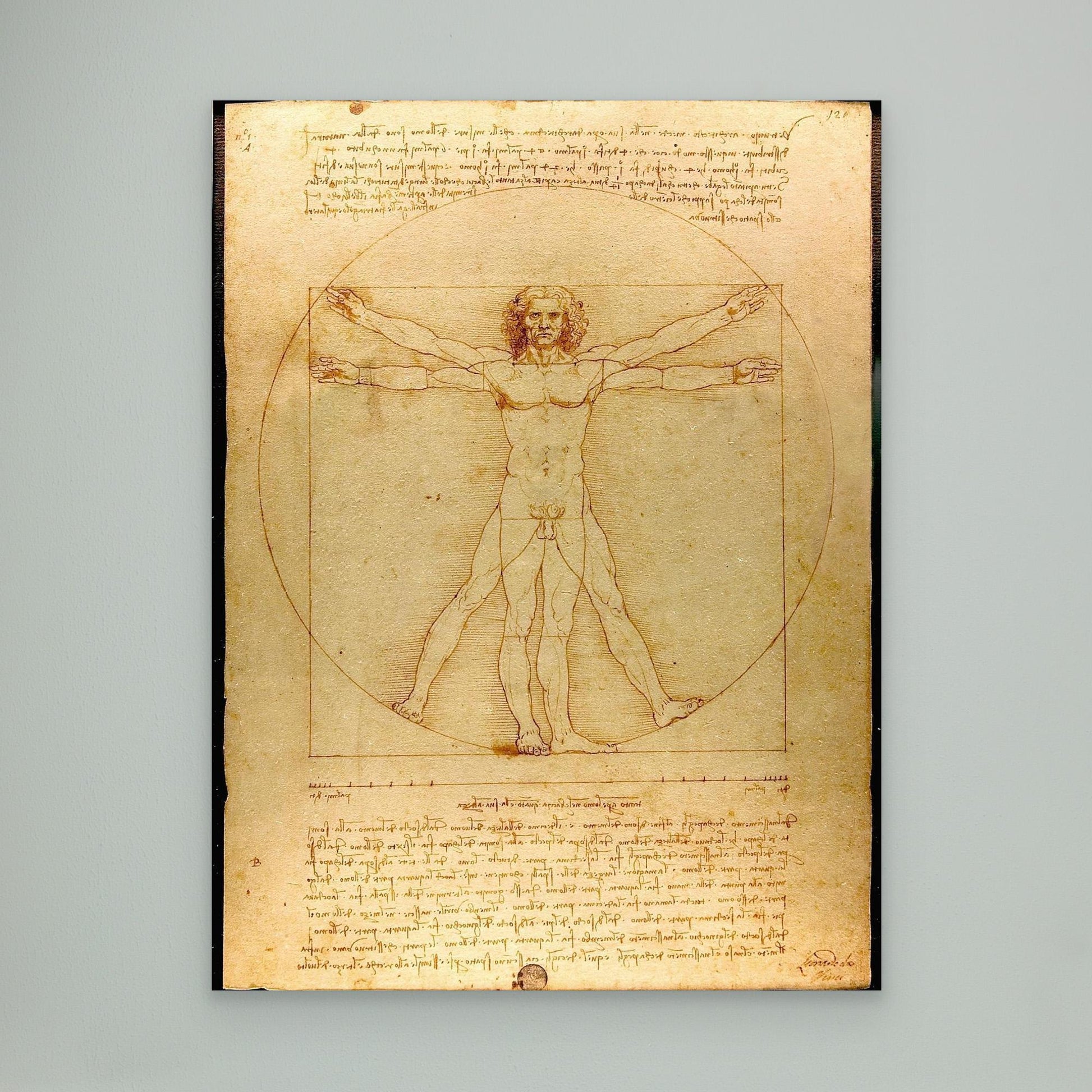 Vitruvian Man