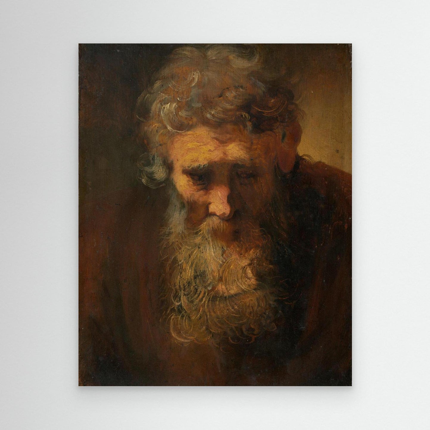 Study of an Old Man