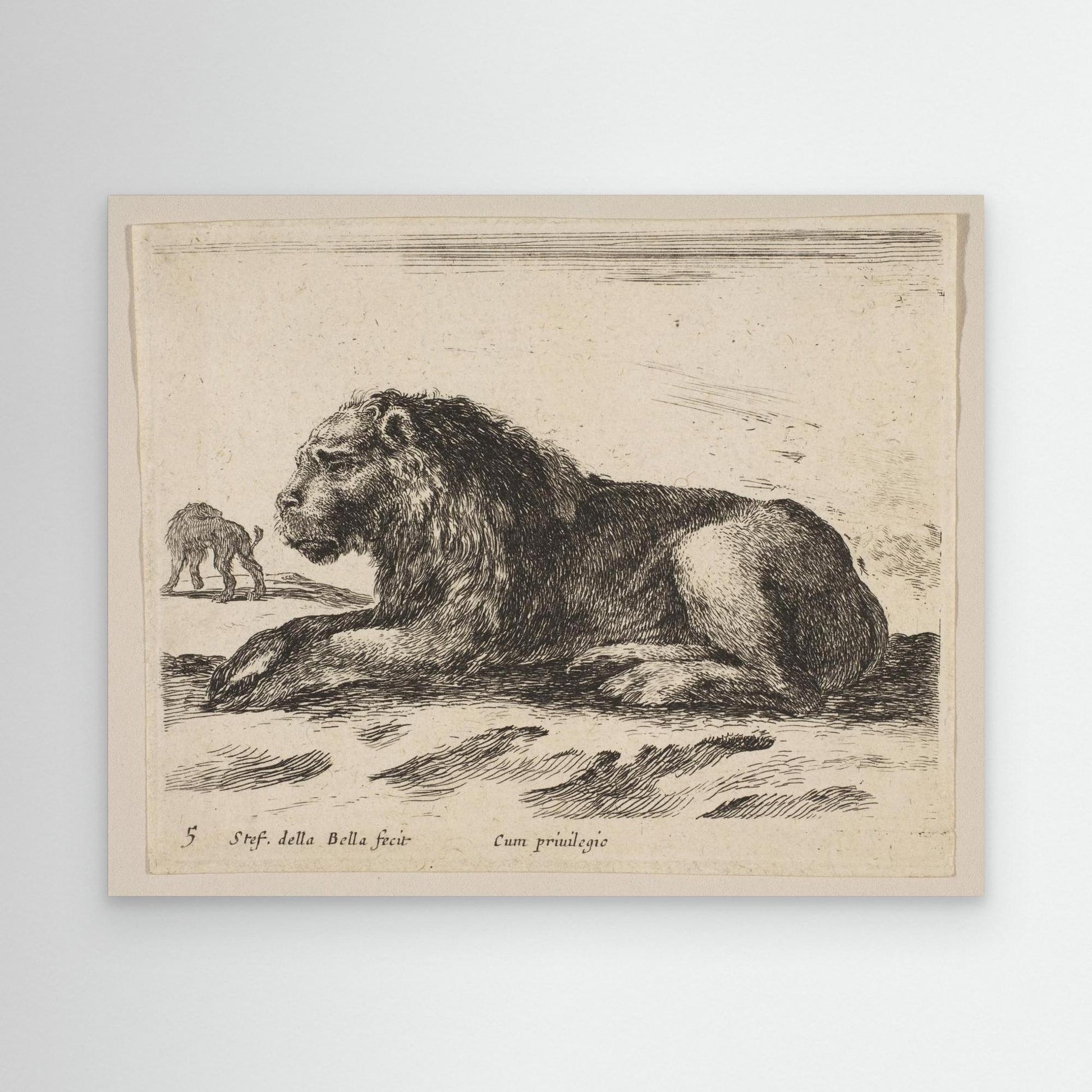 Plate 5: Reclining Lion, from "Various animals" (Diversi animali)