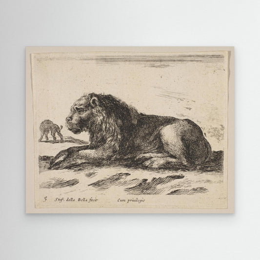 Plate 5: Reclining Lion, from "Various animals" (Diversi animali)