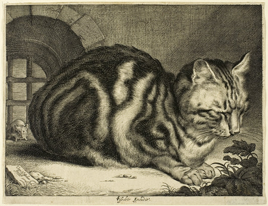 The Large Cat