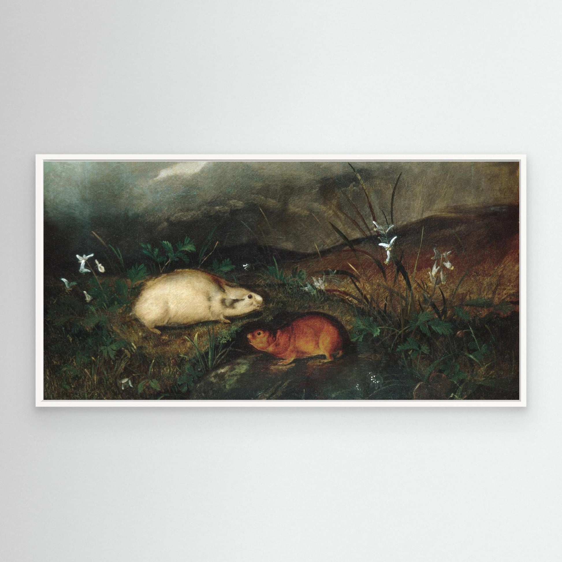 Hudson's Bay Lemming