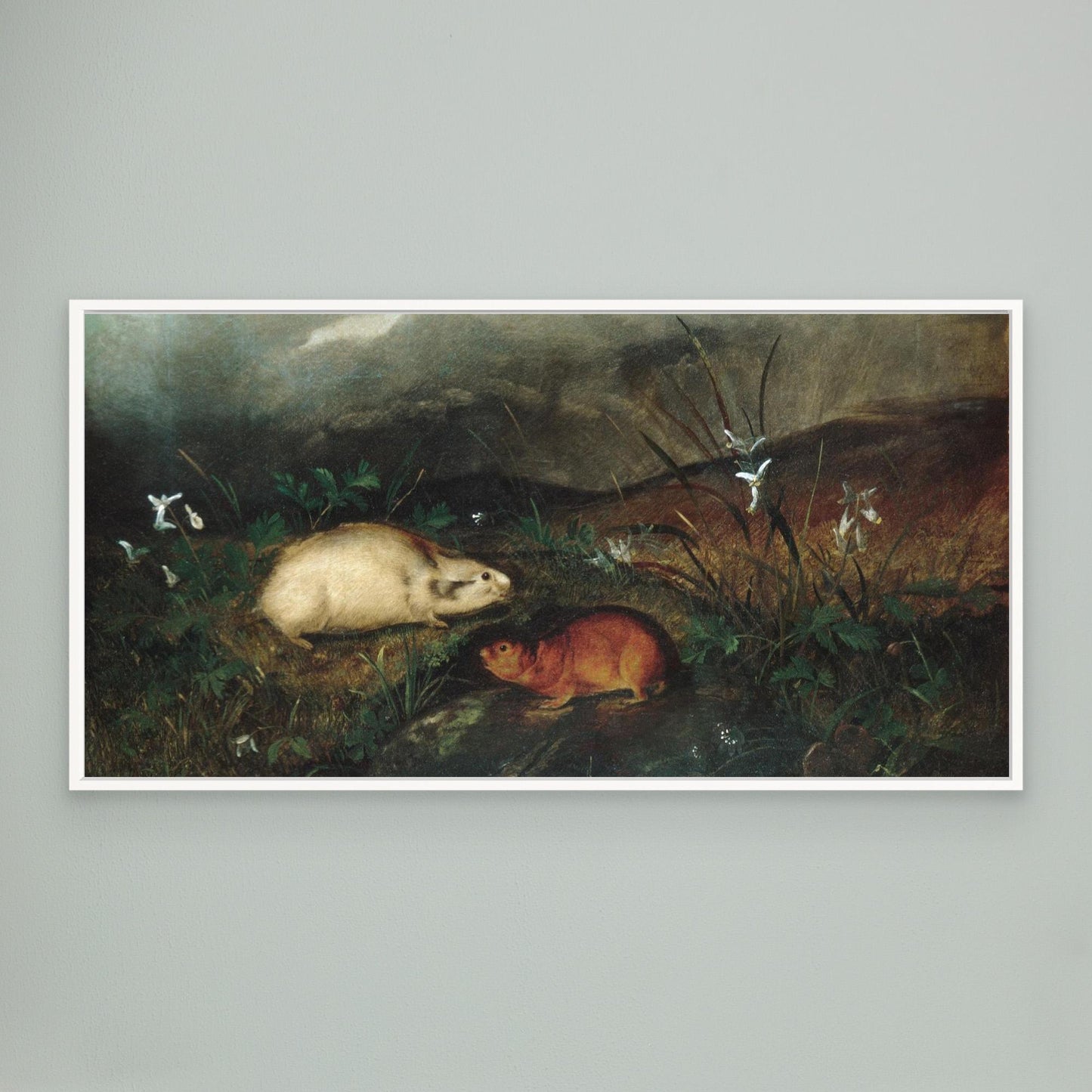 Hudson's Bay Lemming