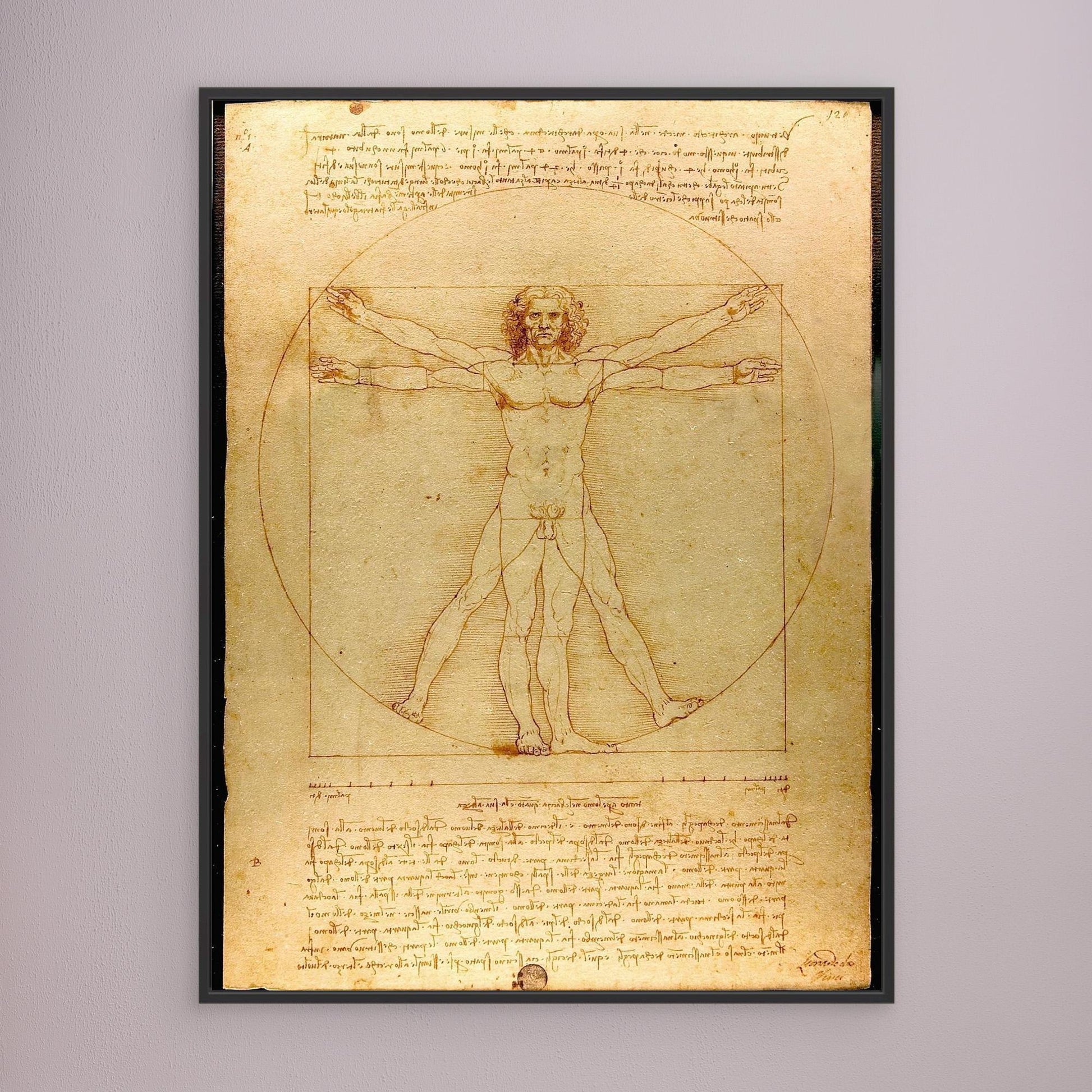 Vitruvian Man