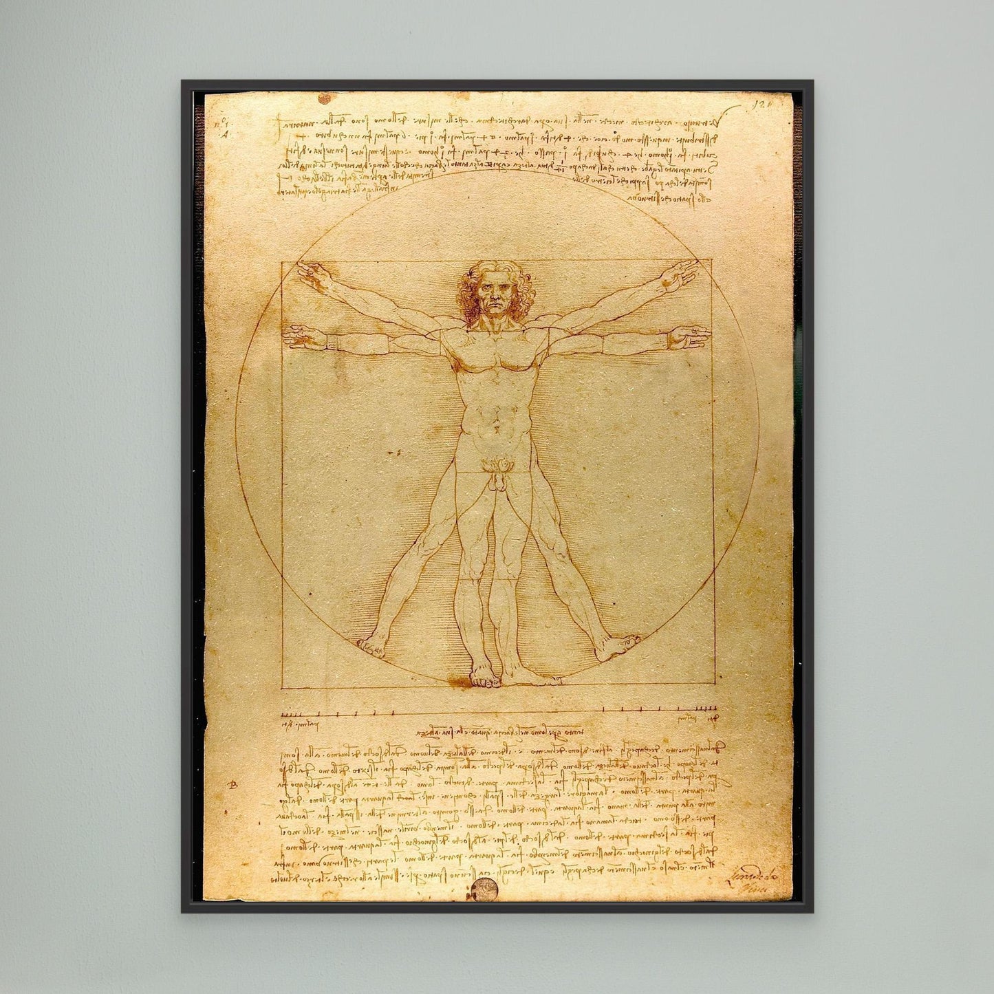 Vitruvian Man