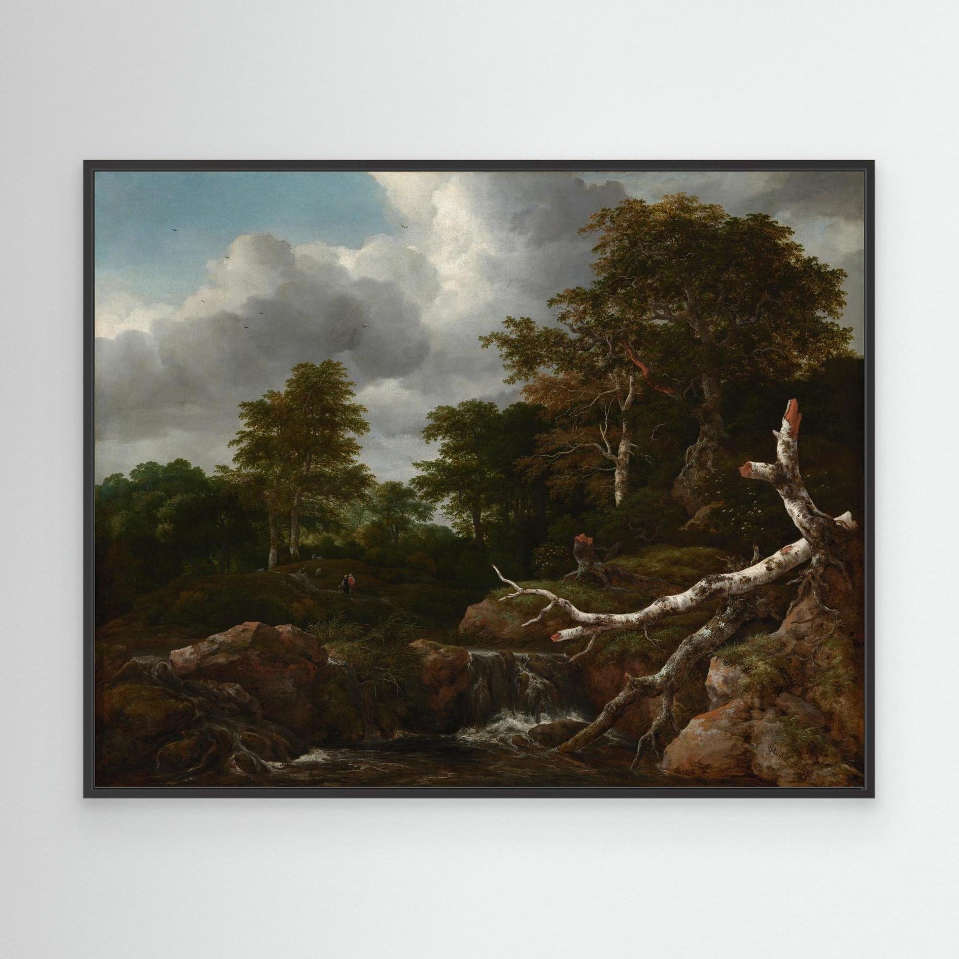 Forest Scene