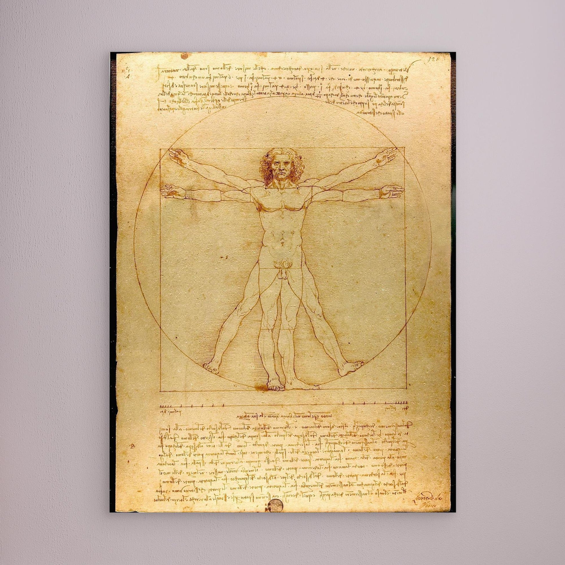 Vitruvian Man