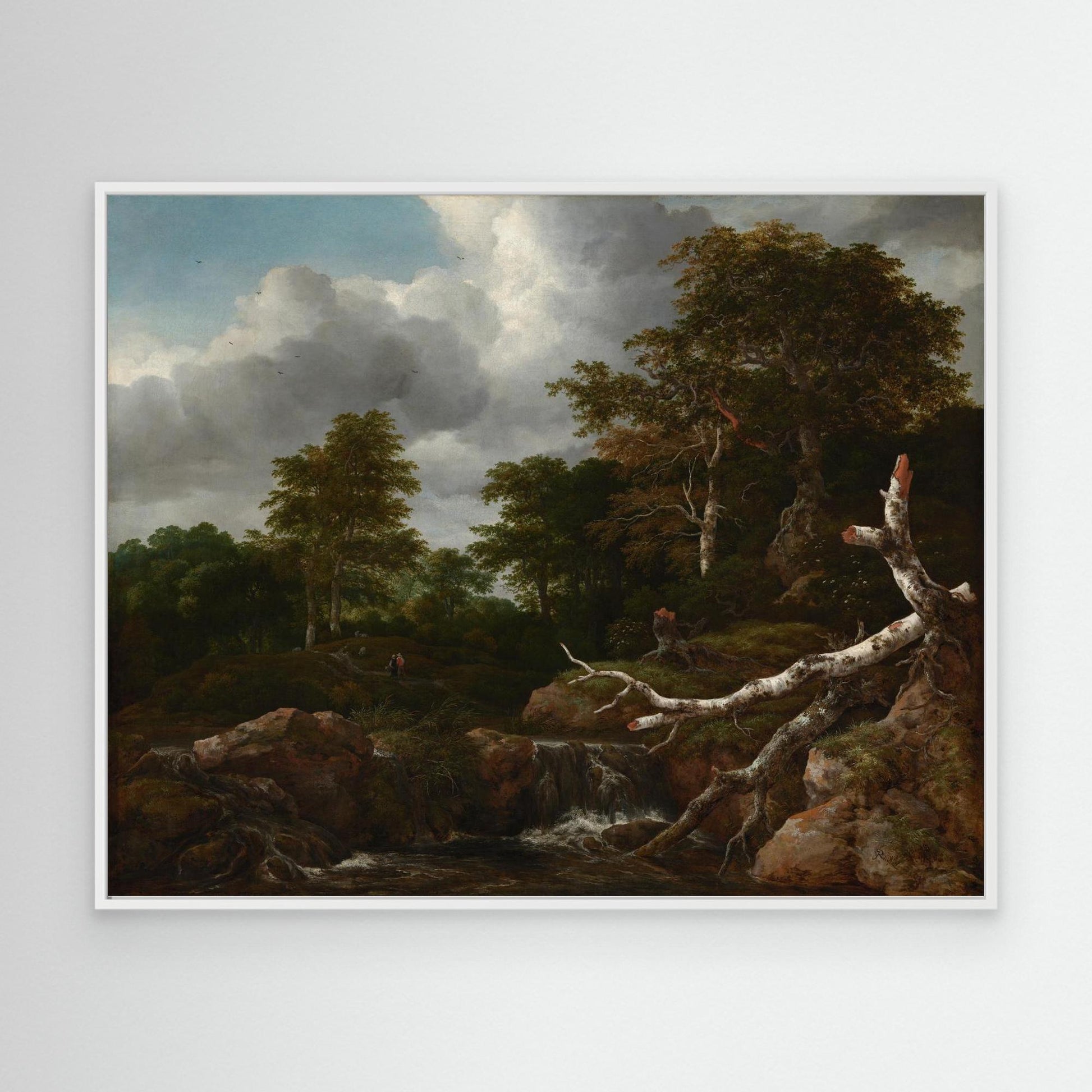 Forest Scene