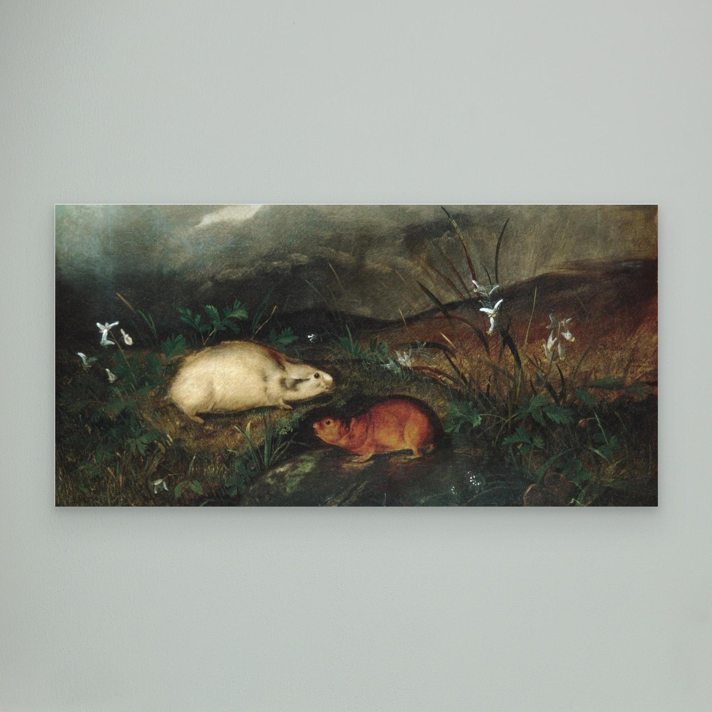 Hudson's Bay Lemming