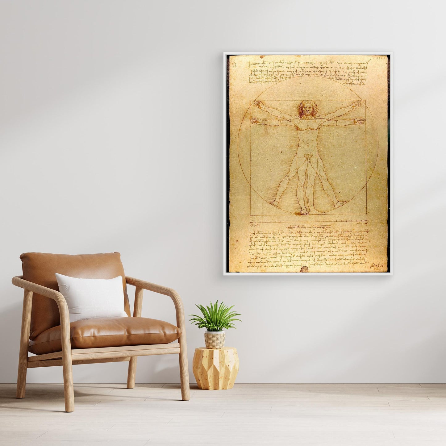 Vitruvian Man