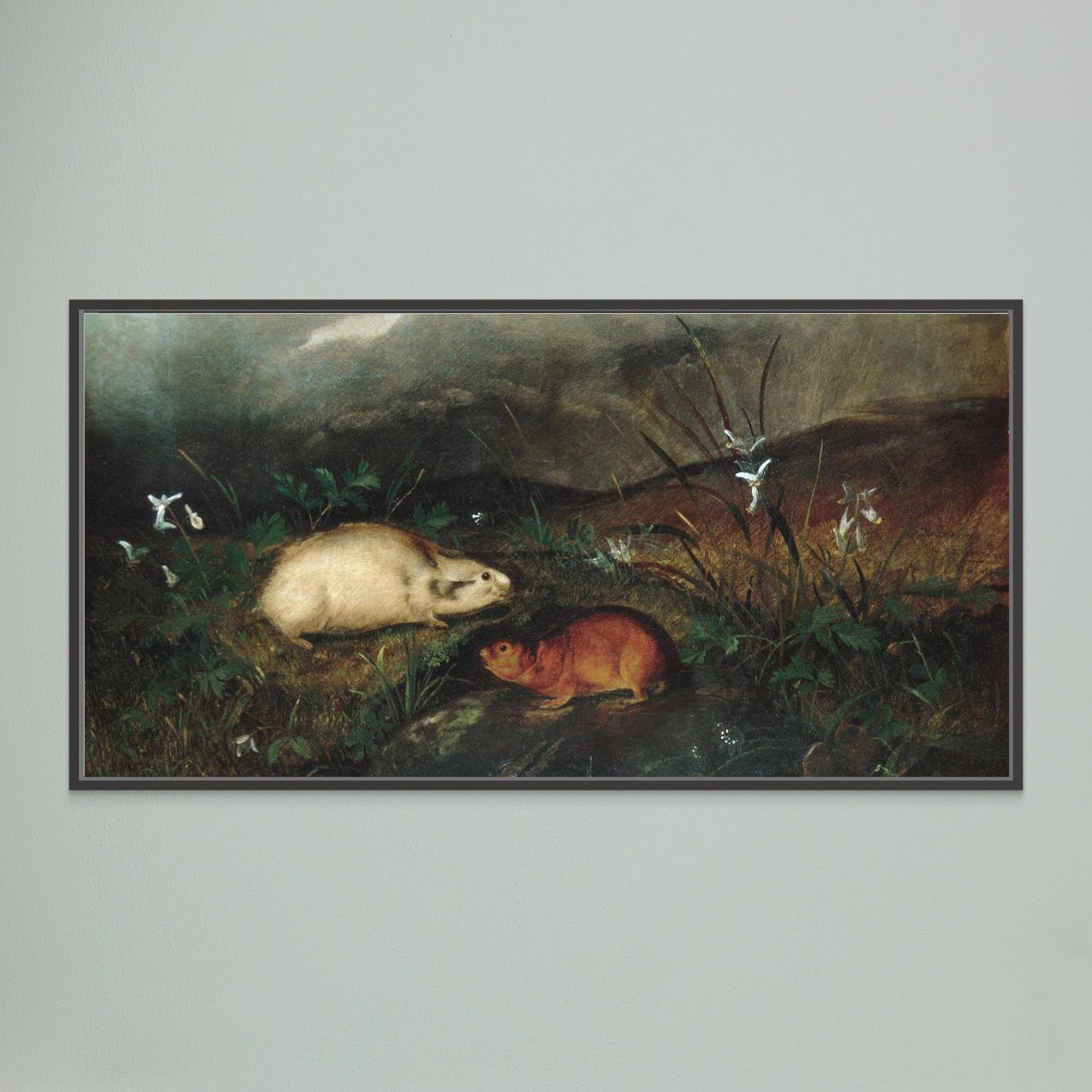 Hudson's Bay Lemming