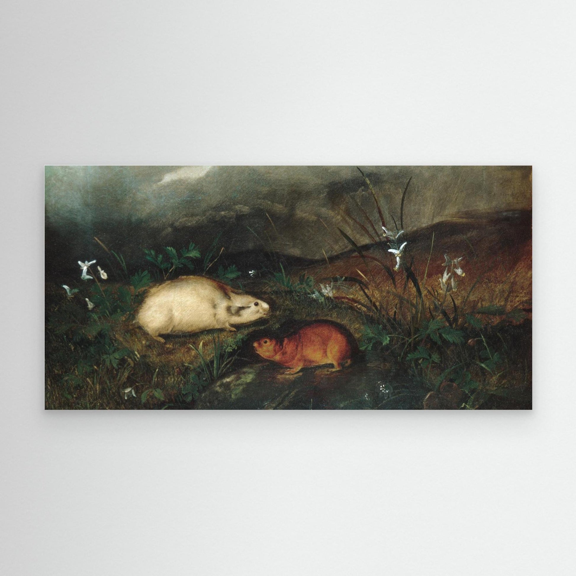 Hudson's Bay Lemming